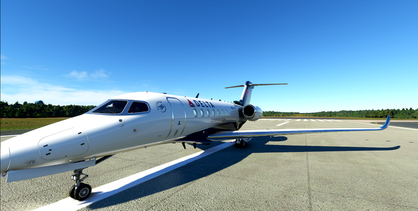 Delta Connection Longitude - for Microsoft Flight Simulator