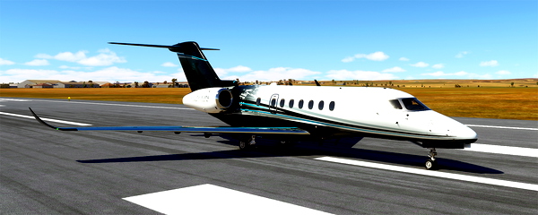 Longitude Recolor 5 pack - for Microsoft Flight Simulator
