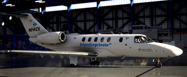 Citation Livery Bundle - for Microsoft Flight Simulator