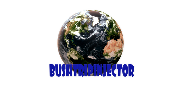 BushTripInjector - for Microsoft Flight Simulator