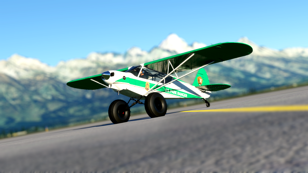 GotGravel's Savage Carbon V1.2 Livery Pack - for Microsoft Flight Simulator
