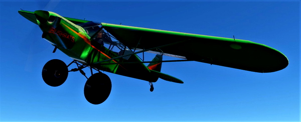 NC76 SavageCarbon Striped Livery - for Microsoft Flight Simulator