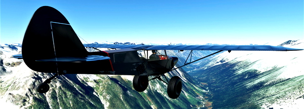NC76 SavageGrravel Bushrats Livery - for Microsoft Flight Simulator
