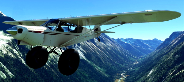 NC76 SavageGrravel SuperCub Livery - for Microsoft Flight Simulator