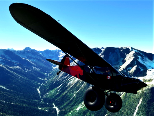 NC76 SavageGrravel FlyingHigh Livery - for Microsoft Flight Simulator