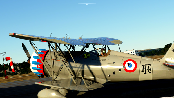 Livrée Waco République Française War - for Microsoft Flight Simulator