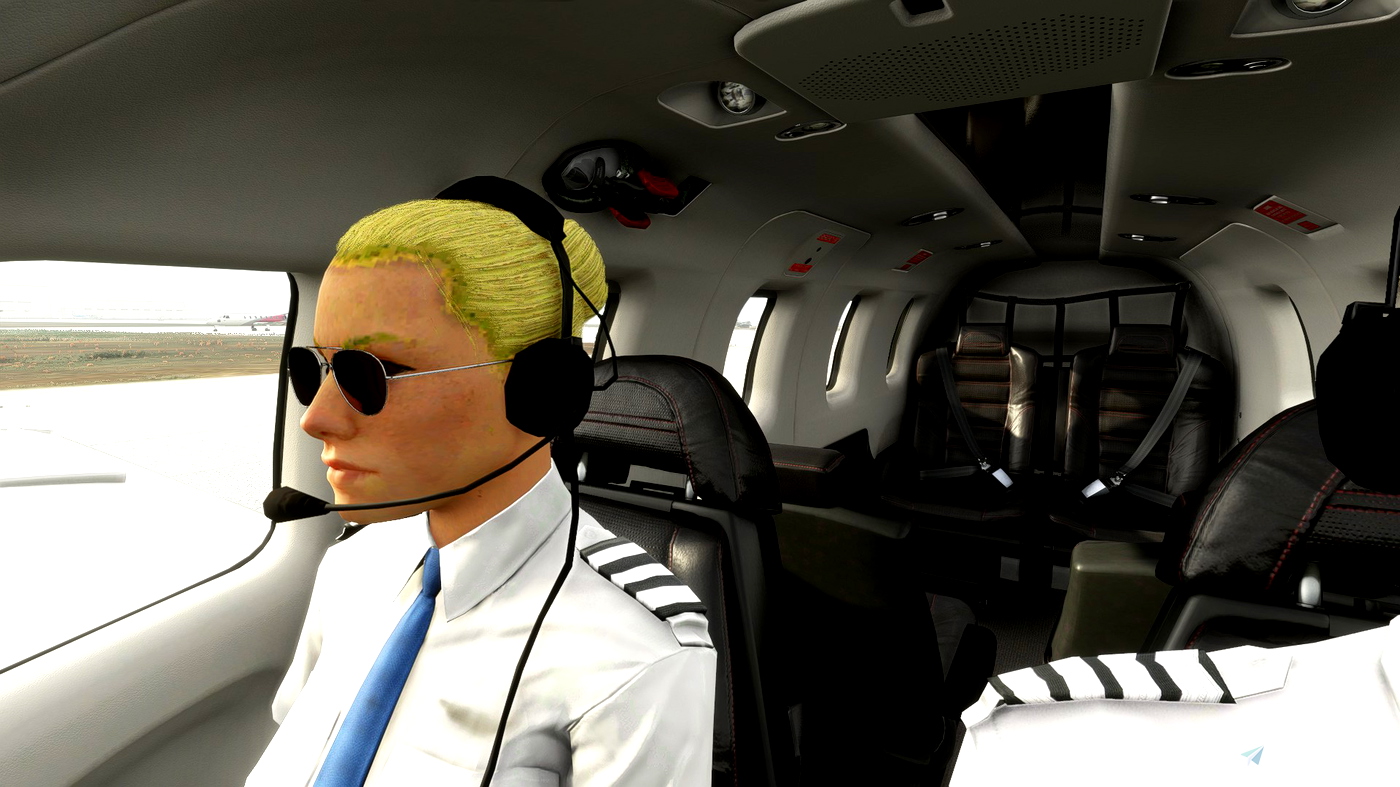 Can Microsoft Flight Simulator's 2020 reboot solve the pilot