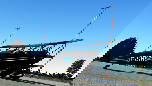 Waco YMF-5 Chrome and Black Double Stripe - for Microsoft Flight Simulator