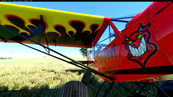 GotGravel Savage Grravel livery pack by phr34k86 - for Microsoft Flight Simulator
