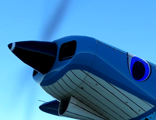 GotGravel Savage Carbon - Beaver24's Livery Pack - for Microsoft Flight Simulator