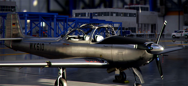 Piaggio P149 Metal24 - for Microsoft Flight Simulator