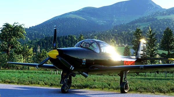 ATSimulations Piaggio P149D D-EOBU - for Microsoft Flight Simulator