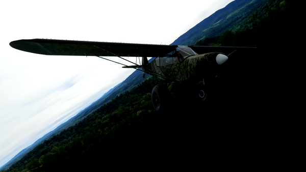 Grravel CADPAT WIP - for Microsoft Flight Simulator