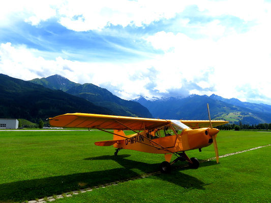 Savage Cub D-MTUN - for Microsoft Flight Simulator