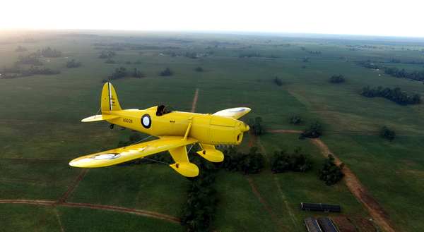 Ryan ST-A RAAF A50-28 - for Microsoft Flight Simulator