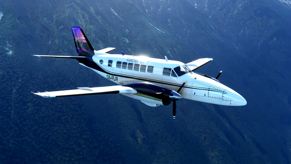 Beechcraft Model 99 Livery Pack - for Microsoft Flight Simulator