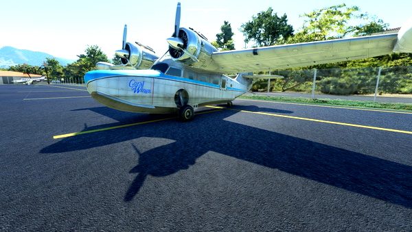 Grumman Goose Coral Wings VH-WET repaint request - for Microsoft Flight Simulator