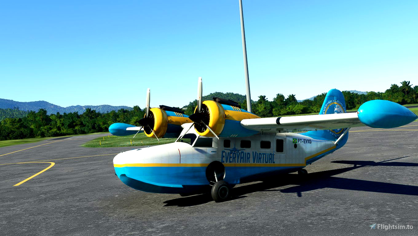 Grumman Goose EveryAir Livery for Microsoft Flight Simulator MSFS