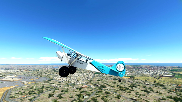 savage carbon nonstop flight livery - for Microsoft Flight Simulator