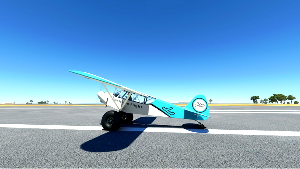 savage grravel nonstop flight livery - for Microsoft Flight Simulator