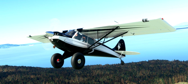 AIRPAC1 HUSKY A1C ANNIVERSARY EDITION Livery - for Microsoft Flight Simulator