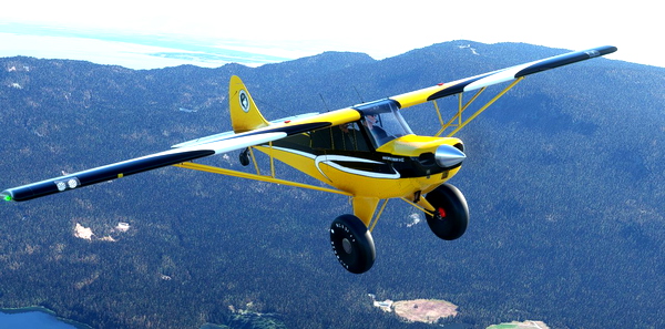 AIRPAC1 HUSKY A1C ANNIVERSARY Black/Yellow Edition - for Microsoft Flight Simulator
