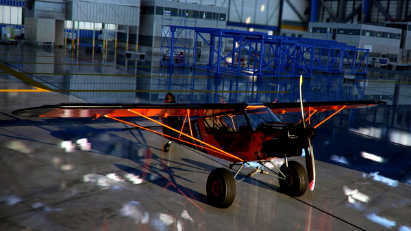 Savage Carbon SkyBush - for Microsoft Flight Simulator