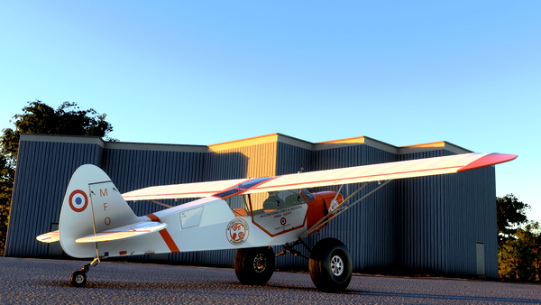 Livery Multinational Force & Observers - Savage Grravel - by Newdeclic - for Microsoft Flight Simulator