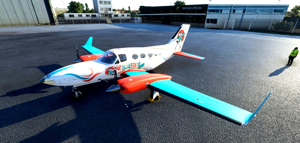 Air BlueFox VA- Cessna 414 Chancellor - for Microsoft Flight Simulator
