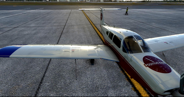 Positive Rate Variant aircraft liveries (Legacy) - for Microsoft Flight Simulator