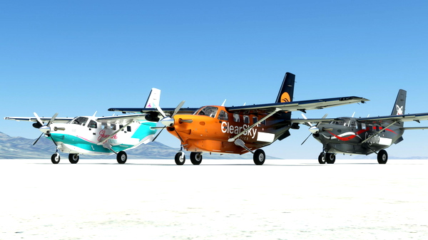 The Skypark Livery Pack - Kodiak 100 - for Microsoft Flight Simulator