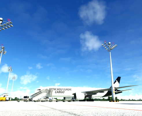 B777F New Color Snow Wolf Europe - for Microsoft Flight Simulator