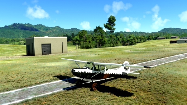 Bush Divers VA- Cessna L-19 Bush Plane - for Microsoft Flight Simulator