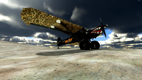 Bush Outfitters Carbon Prop Livery - for Microsoft Flight Simulator