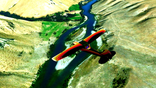 Cessna L-19 Bird Dog "Nomad" - for Microsoft Flight Simulator