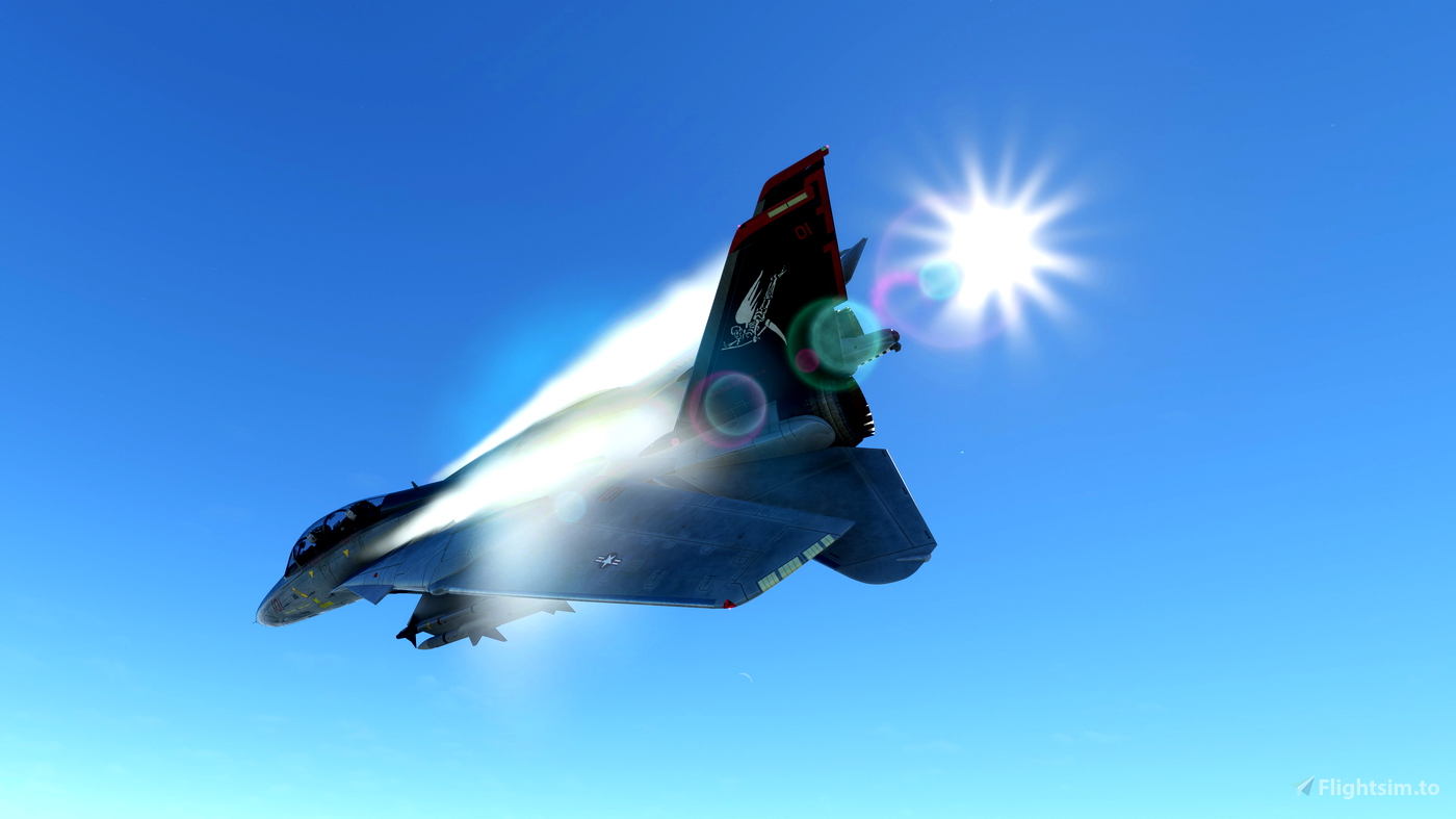 Grim Reapers VF-101 F-4 Phantom for FSX