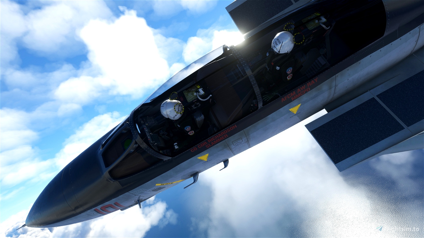 Grim Reapers VF-101 F-4 Phantom for FSX