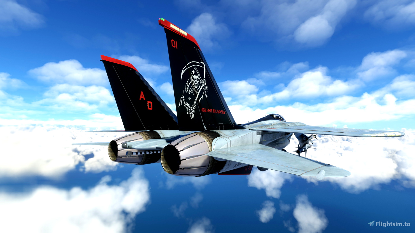 Grim Reapers VF-101 F-4 Phantom for FSX