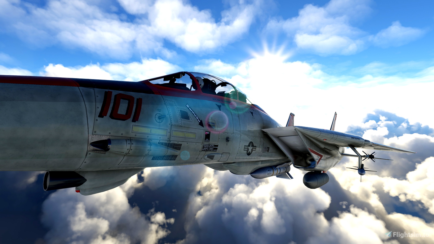 Grim Reapers VF-101 F-4 Phantom for FSX