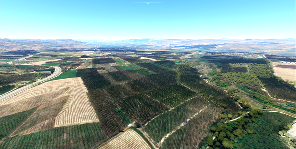 Israel VFR - Vegetation - for Microsoft Flight Simulator
