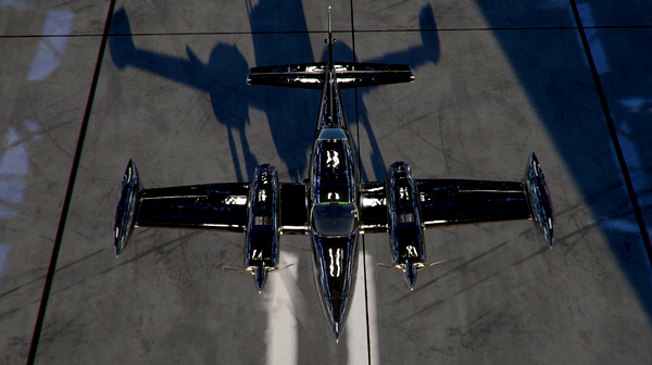 Milviz Cessna C310R Bare Metal and Chrome Liveries - for Microsoft Flight Simulator