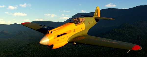 P-40b Tomahawk 8R-ITO "Itoupé" - for Microsoft Flight Simulator