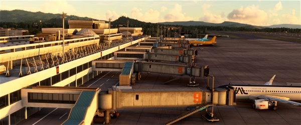 RJFK - Kagoshima Airport Microsoft Flight Simulator