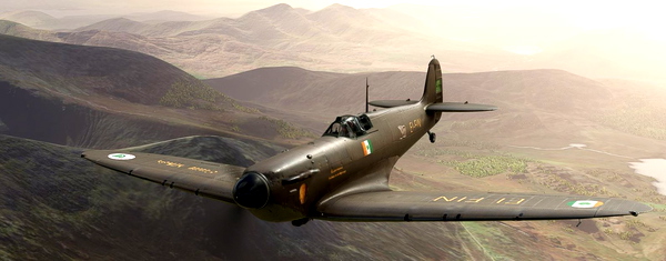 Spitfire Mk1A AH Kerry EI-FIN brown - for Microsoft Flight Simulator