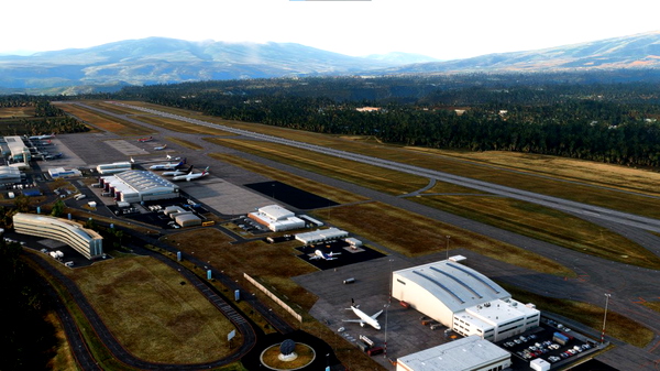 Static aircrafts for SEQM - for Microsoft Flight Simulator