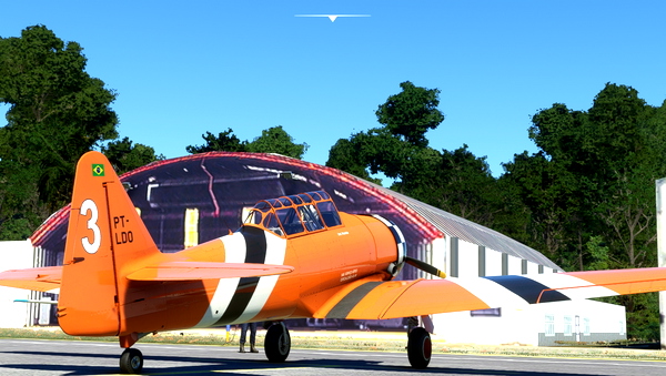 T-6D PT-LDO Extreme squadron - for Microsoft Flight Simulator