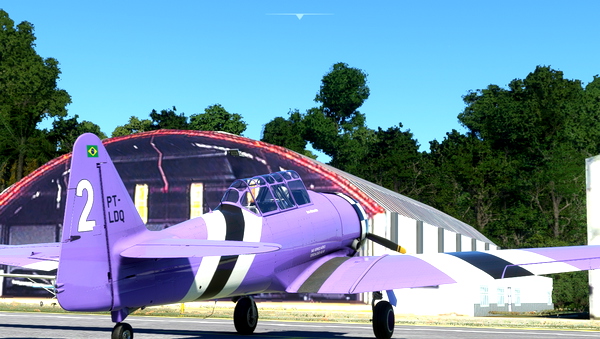 T-6D PT-LDQ Extreme squadron - for Microsoft Flight Simulator