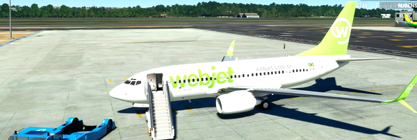 WEBJET PMDG - for Microsoft Flight Simulator