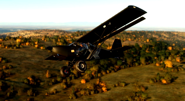 //42 FreedomFox + Fox 2 Gray XLII - for Microsoft Flight Simulator