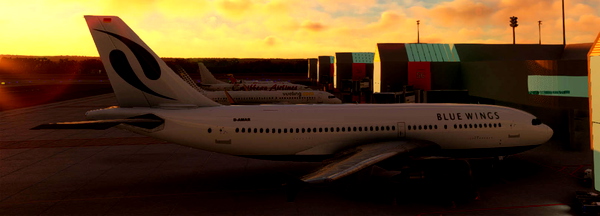 A310-300 Bluewings VA (D-AMAR) - for Microsoft Flight Simulator